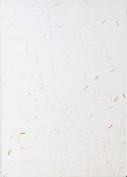Flectone A4, 25/Pk