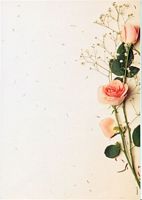 Petals A4, 25/Pk
