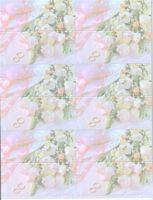 Promises Place Cards 60/Pk